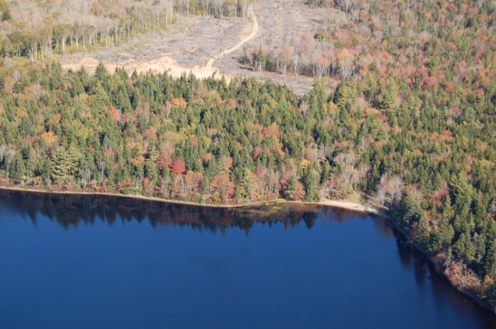 Immobilien Kanada Flug Four Island Lake Oktober 2013 (29)